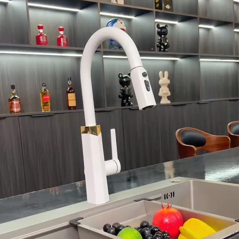 Pull-Out Kitchen Faucet with Hot & Cold Rotating Spout for Sinks