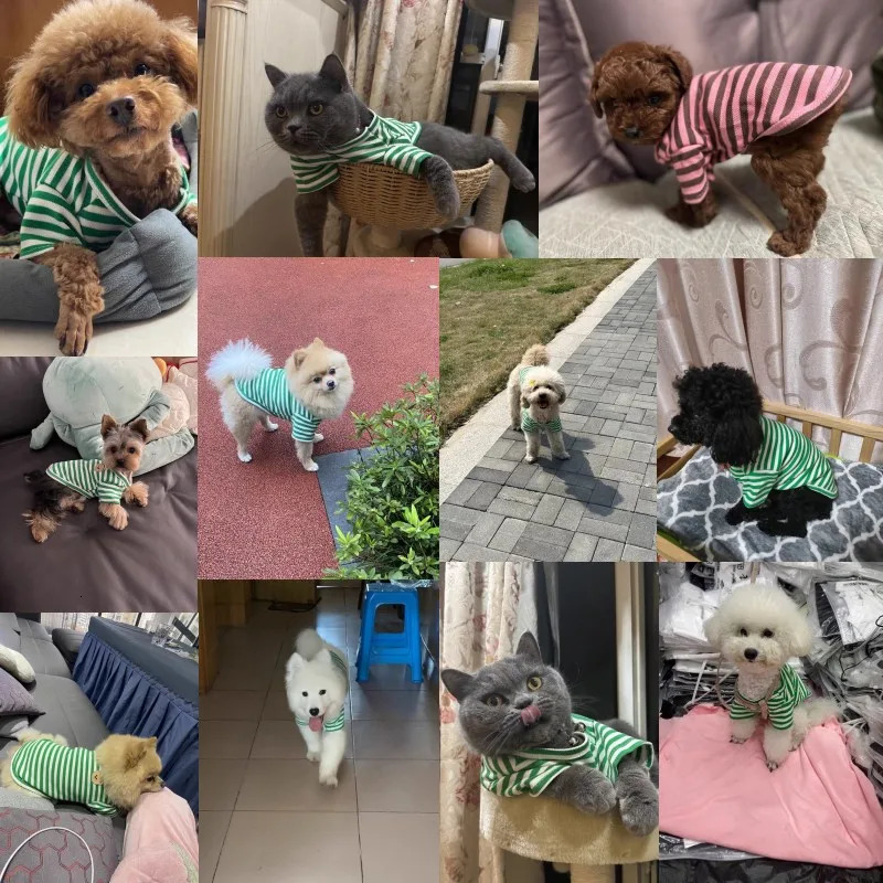 Summer Dog Clothes for Small Dogs Fashion Shirt Bear Print Puppy Thin Cute Cat Strip Vest Chihuahua Pet 250711