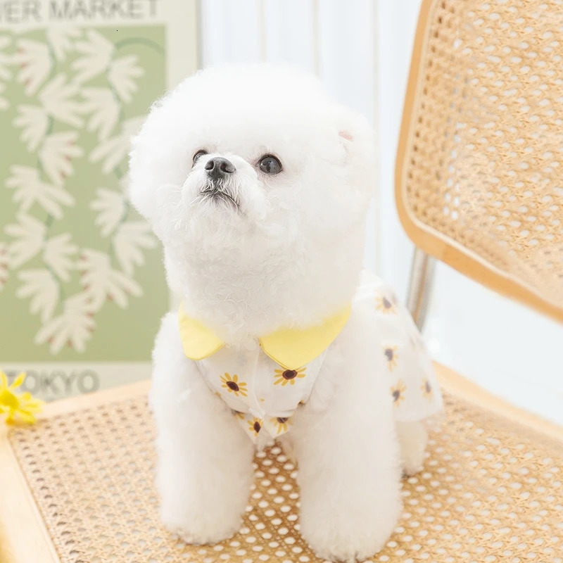 Dog Princess Dress Cute Pet Mesh Kitten Puppy Skirt Summer Bow Lace Korean Poodle Chihuahua Clothes 250711