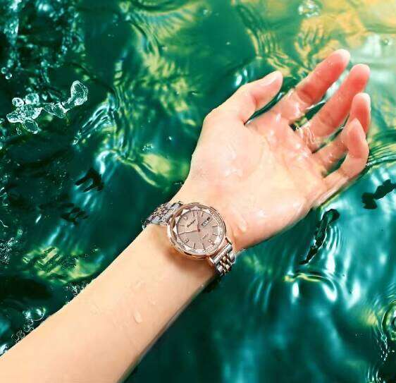 DHgargets Women's Waterproof Watch - 50M Luminous Stainless Steel Quartz Wristwatch with Day & Date (Model 3013)