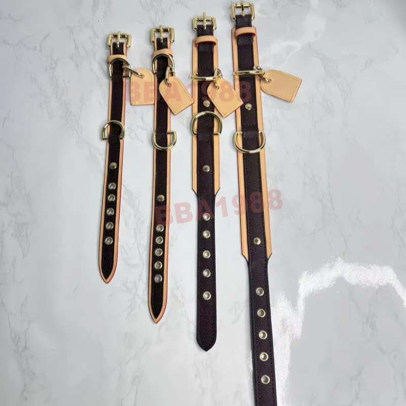 Dog Collars Designer Fashion Brand Leather Dogs Collar Classic Old Flower Adjustable Puppy Belt Leash Pet Outdoor Running Training Necklace Rope Tie