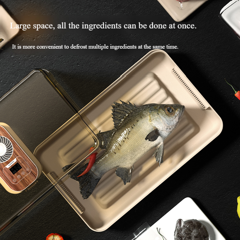 New Rice Core Warm Air Fish, Chicken, Duck Meat, Refrigerator Defrosting, Quick Preservation, Multi-Functional Defrosting Device for Kitchen Use