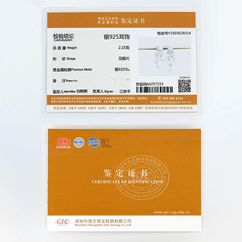 Lnngy m Drop Earrings 925 Sterling Silver Tassel Chain Earring For Women Girls Wedding Party Charms Jewelry Gift 250716