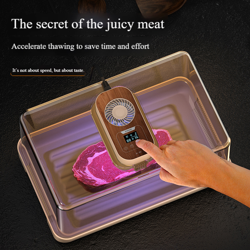 New Rice Core Warm Air Fish, Chicken, Duck Meat, Refrigerator Defrosting, Quick Preservation, Multi-Functional Defrosting Device for Kitchen Use