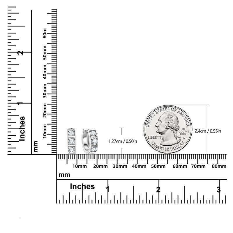 Live Streaming Unisex Hip-Hop Moissanite Personality Simple Sterling Sier Gold-Plated Hoop Earrings 96C