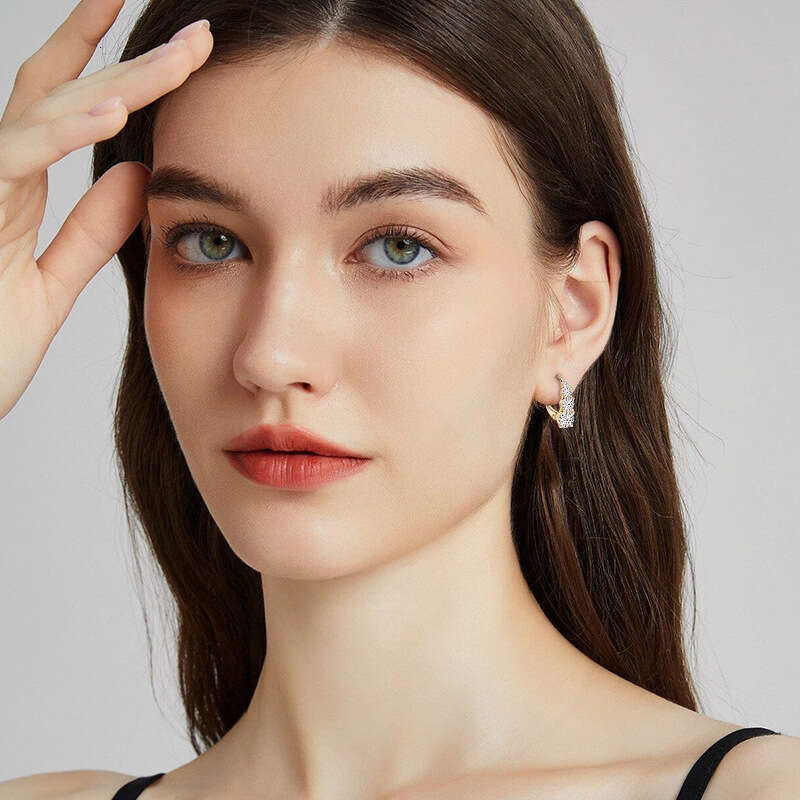 Tiktok Live New Meteor D Color Moissanite Versatile Niche Light Sier Earrings A53