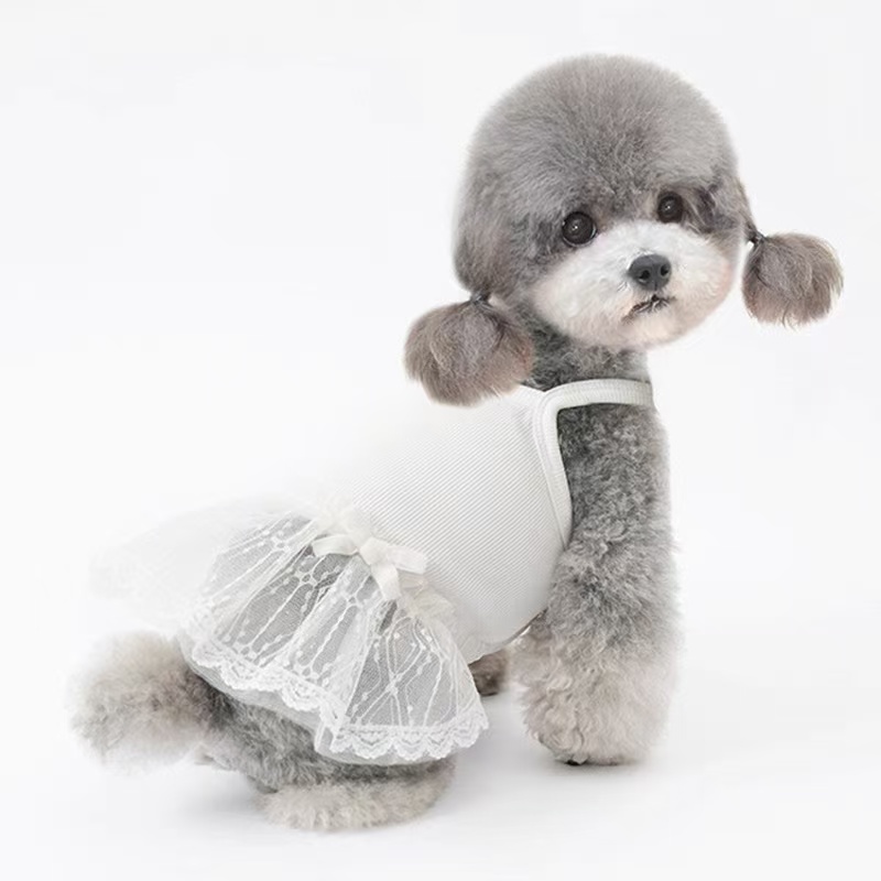 T736 Spring and Summer Dog Clothes Teddy Bichon Maltese Skirt