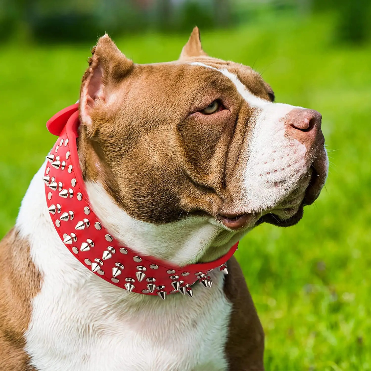 Spiked large dog collar For Medium Large Breeds L-3XL Pitbull Mastiff Boxer PU leather 4 colors big dog collar for large dog 250716