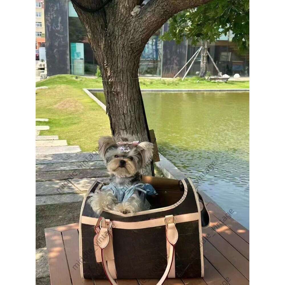Design pet bag luxury dog bag leather material Large For Puppy Cat Handbags Tote Supplies Dog Carrier Designer Beach Bag Pet Travel Handbag Casual