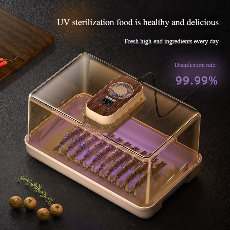 New Rice Core Warm Air Fish, Chicken, Duck Meat, Refrigerator Defrosting, Quick Preservation, Multi-Functional Defrosting Device for Kitchen Use