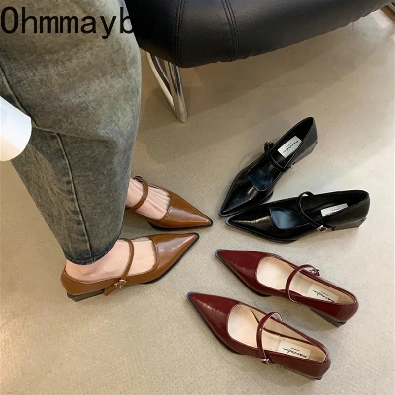 Retro Style Thick Heel Women Mary Jane Shoes Fashion Shallow Pointed Toe Ladies Comfort Office Pumps Footwear 250703