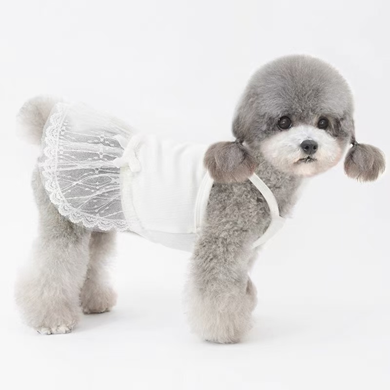 T736 Spring and Summer Dog Clothes Teddy Bichon Maltese Skirt