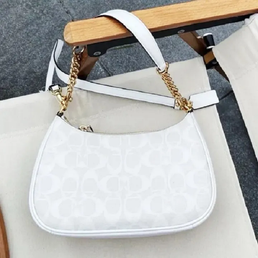 Designer Bags Shoulder Bags crossbody bags Underarm Small wallet bag Handbags Women Half-moon ladies Baguette Purse Chain Strap Croissant bag Chain Bag 001AB