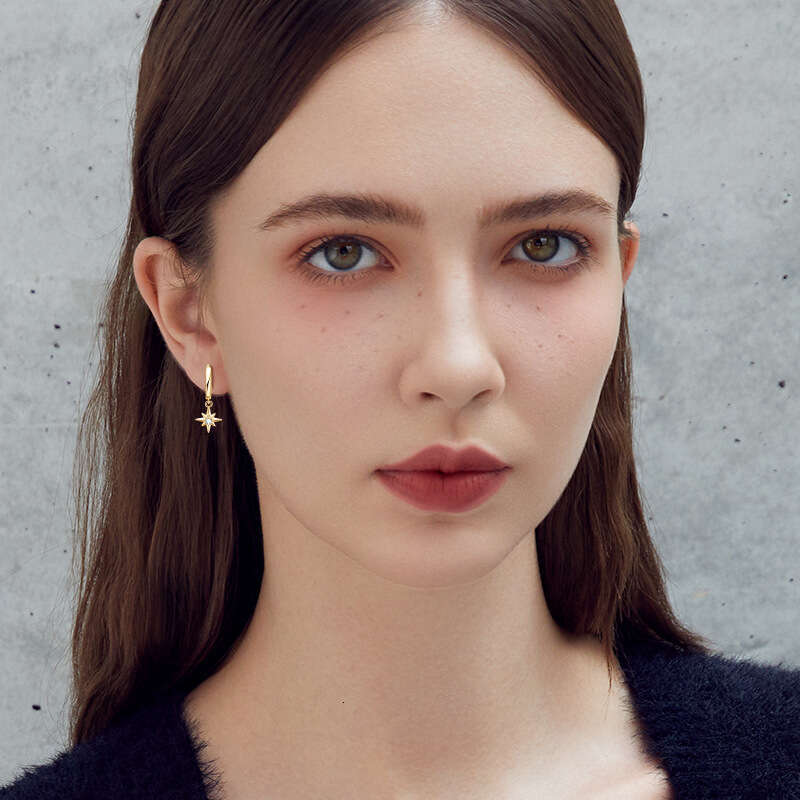 Tiktok Iuencer Live Fashion Hexagram Pure Sier Gold Plated Starry Sky Earrings Versatile High-End Feel C05