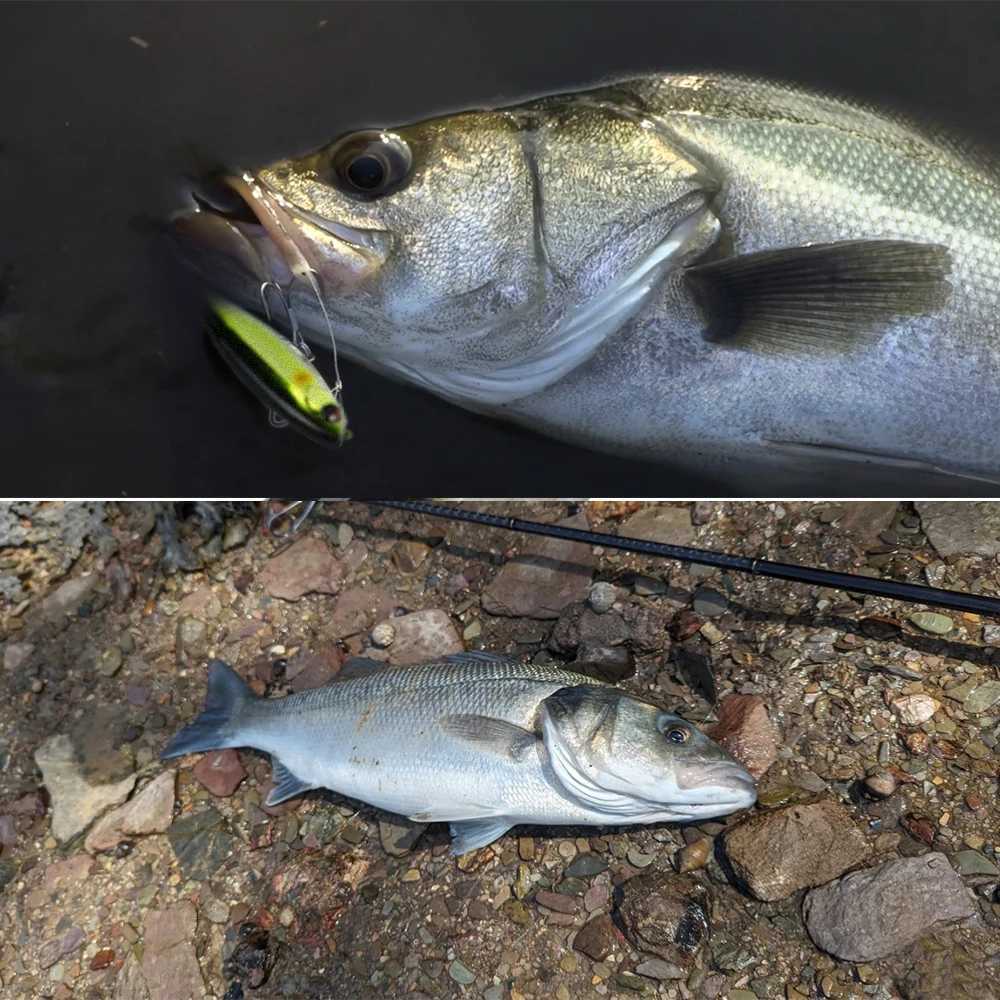 Hunthouse Floating Pencil Fishing Lure Topwater Hard Bait 100mm 17.6g Surface WTD Wobblers Trolling For Bass Saltwater Tackle Z250717