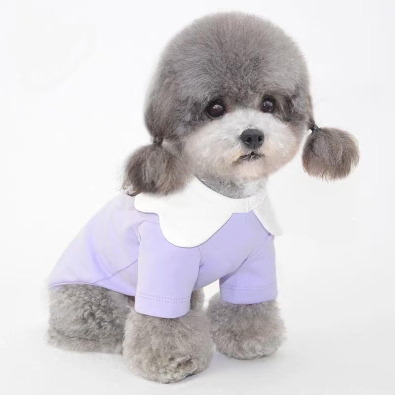T740 Autumn and winter new cute cotton elastic Teddy Bichon Schnauzer dog two-legged clothes for small and medium-sized dogs and cats