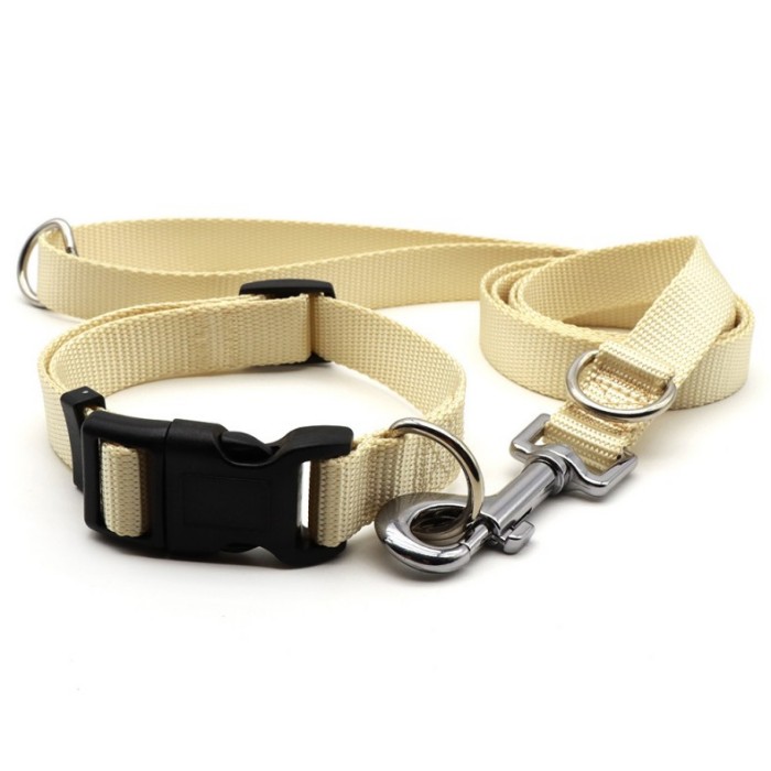 Colorful Dog Collar with Matching Traction Rope Set