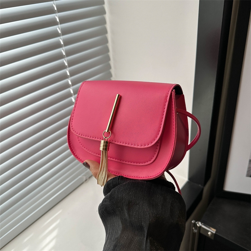 2025 Spring/Summer New Commuting Simple Tassel Small Handbag for Women, with Personalized Ins Style Single - shoulder Bag Korean - style Saddle Bag