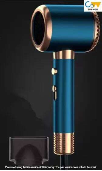 German dryer household ion hair care hairstylist high power for men and women only 300 million negative ions-2300W