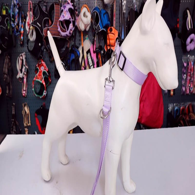 Colorful Dog Collar with Matching Traction Rope Set