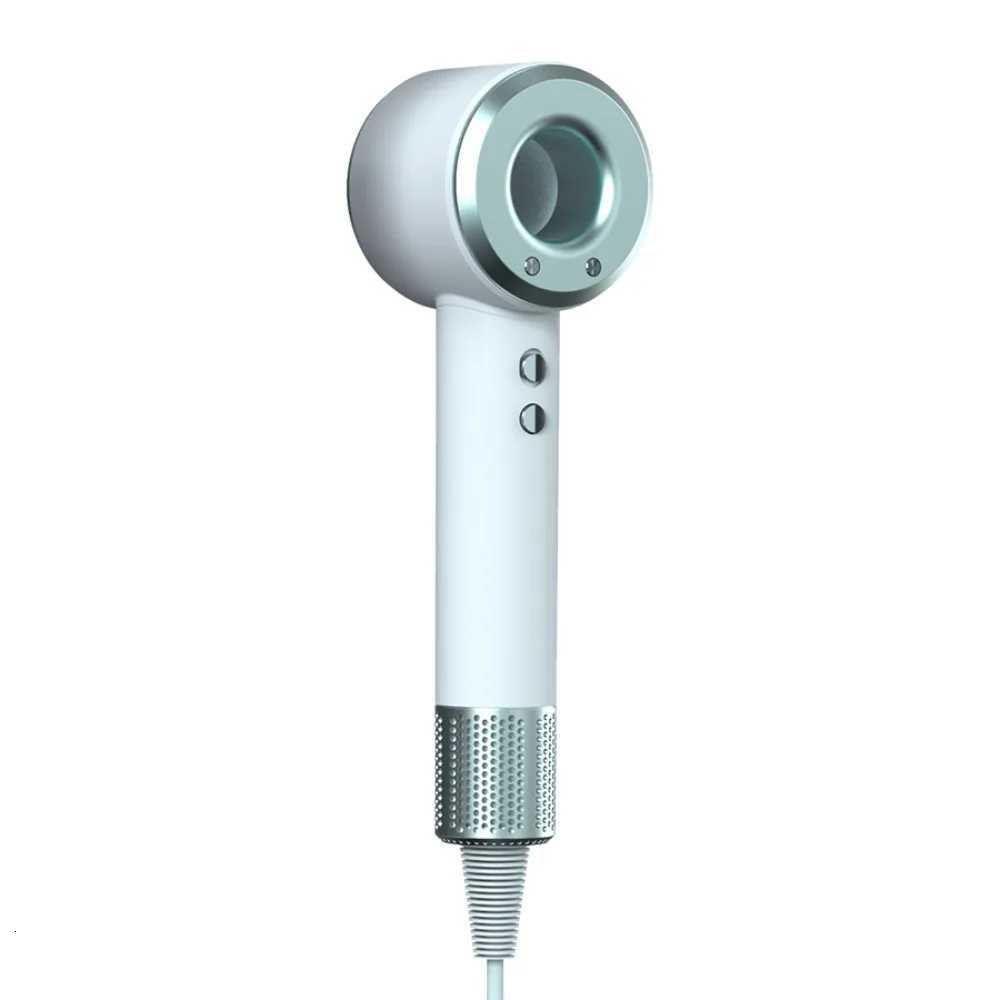2025 New Professional Hair Dryer with Temperature Control Anion Functionality - Lightweight and Smooth Hair Styling W250718