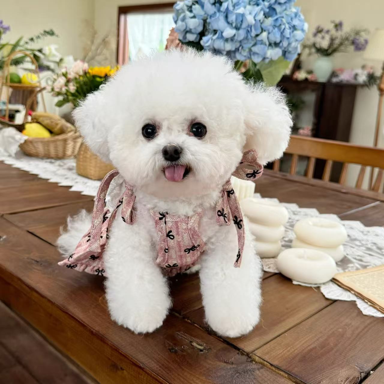 T747 Pet clothes autumn and winter new Korean cute lace suspender princess dress dog cat skirt