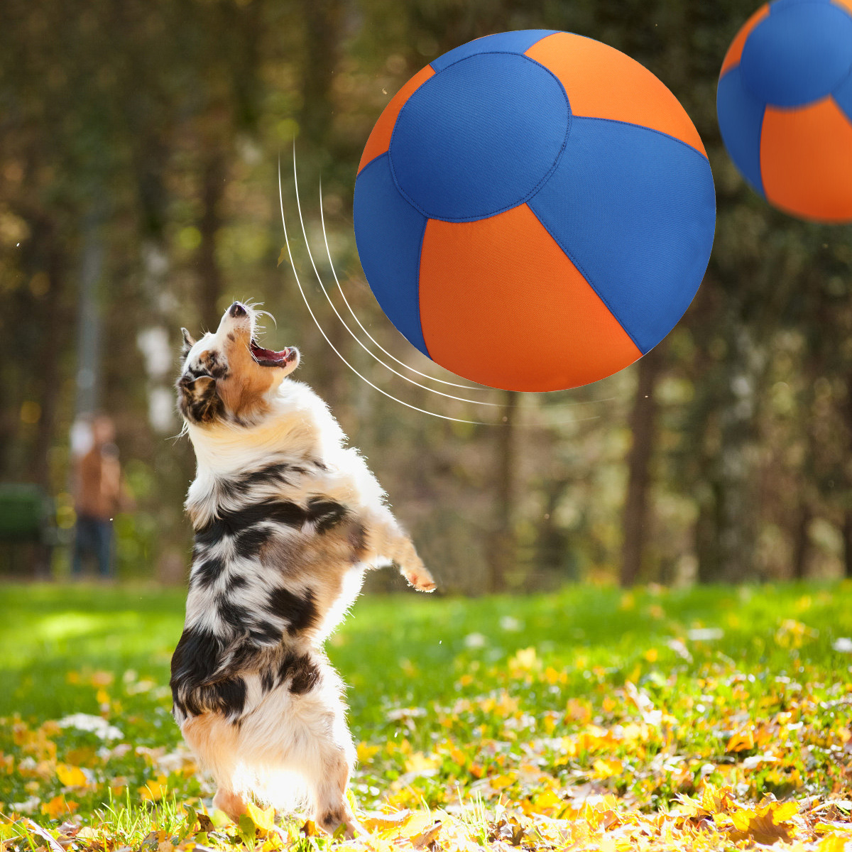 Outdoor Dog toy ball Inflatable Big Ball Interactive Games Balls Pet Golden Relieve Fretful Boredom Country Dog Corgi Training Ball