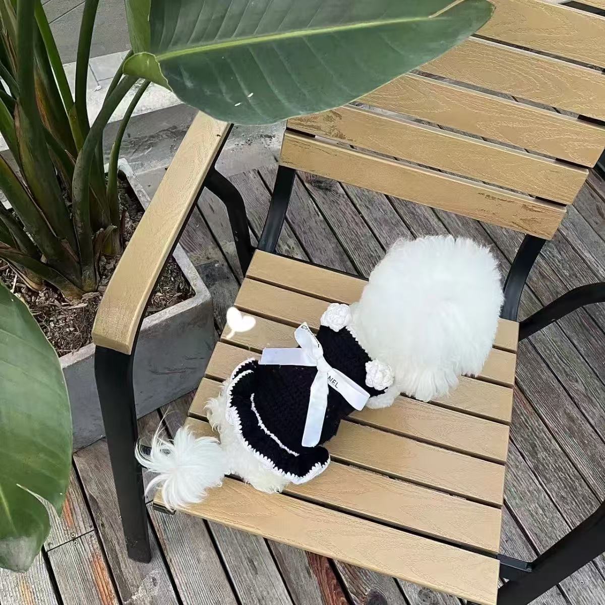 T749 Dog Clothes Autumn and Winter Sweater Cute Bow Pet Sweater Princess Dress Yorkshire