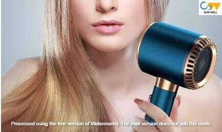 German dryer household ion hair care hairstylist high power for men and women only 300 million negative ions-2300W