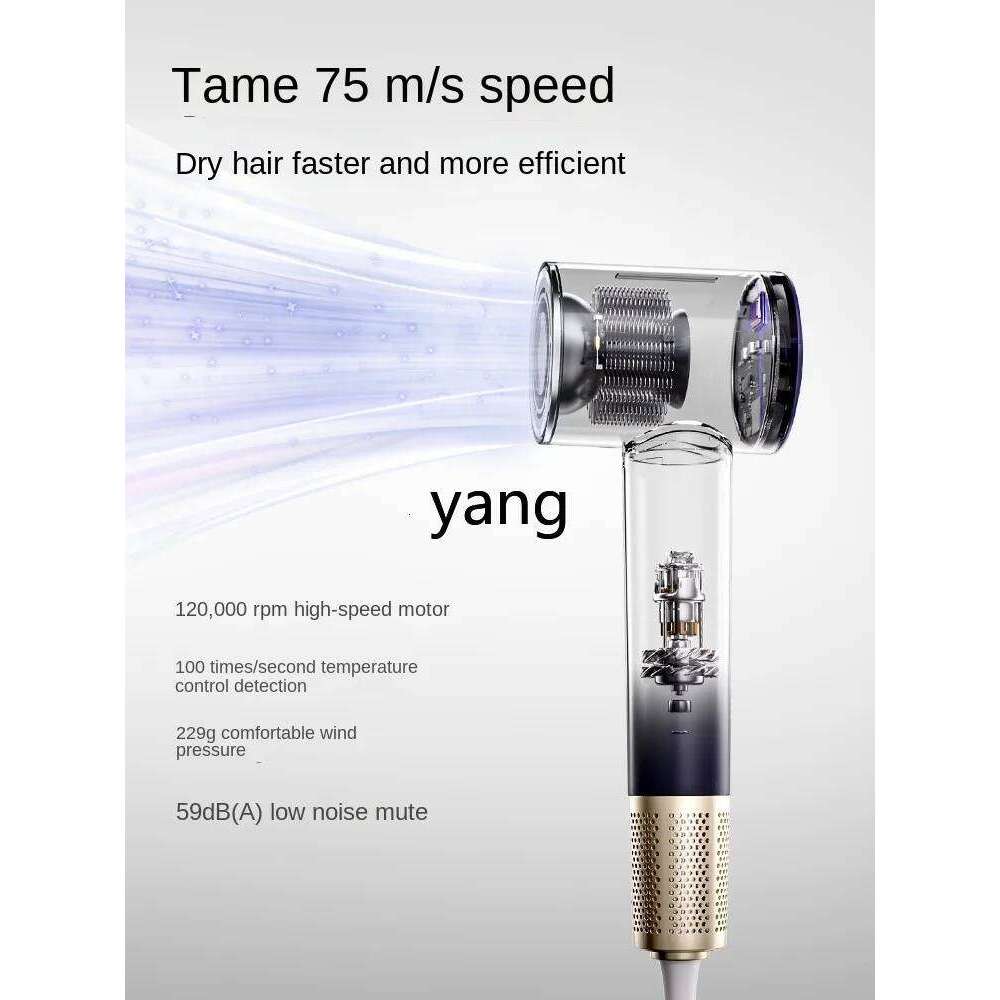 L'm 3.1 Billion Plasma Sterilization Care High-Speed Household Electric Hair Dryer Quick-Drying Low Noise