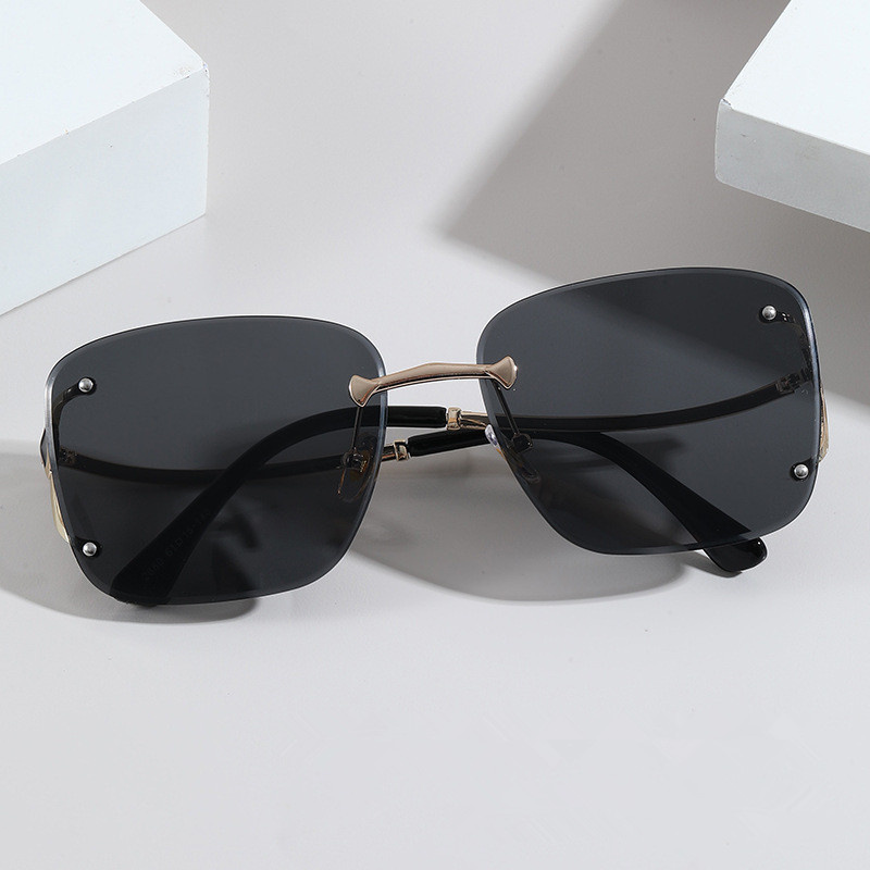 Designer Sunglasses For Women Fashion Oversize Frame Sunglasses Luxury Polarized Lens Goggle Pilot PC Frame UV400 Eyewear Luxury Sunglasses DK1095