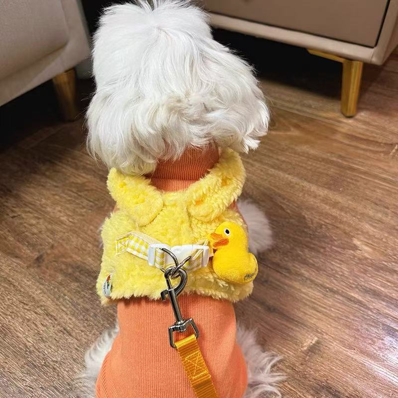 T754 Korean style bear denim summer princess dress Maltese Yorkshire Bichon clothes