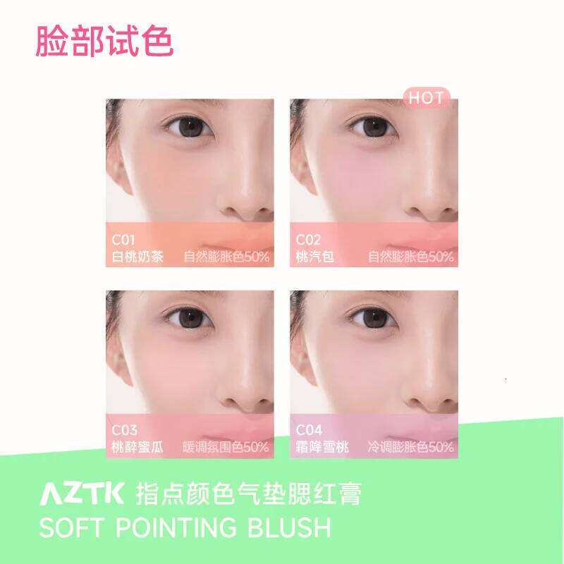 AZTK Air Cushion Powder Blusher Paste Brightens Expansion Color Matt Atmosphere Feeling Portable Longlasting Natural Face Makeup X250