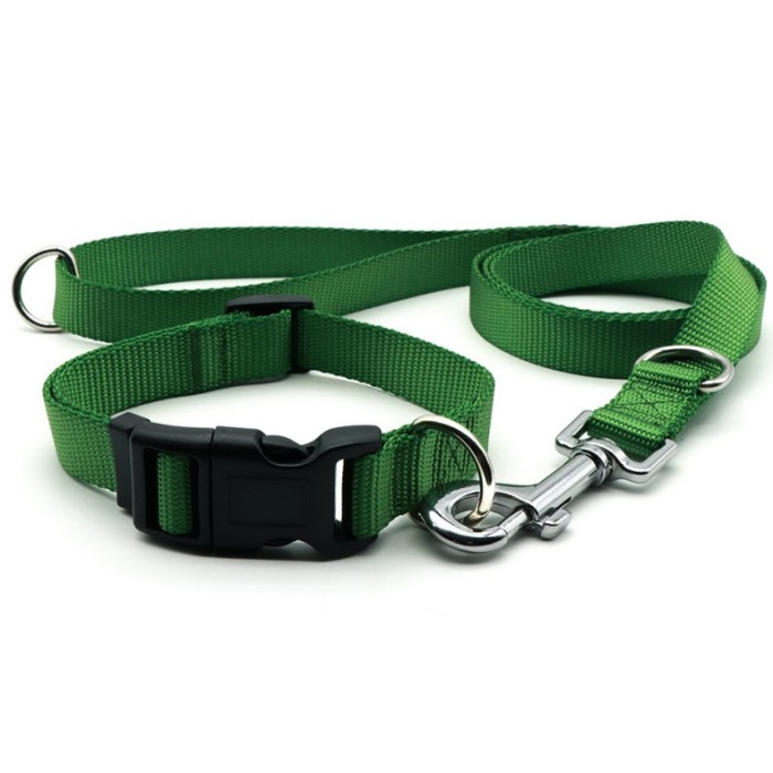 Colorful Dog Collar with Matching Traction Rope Set