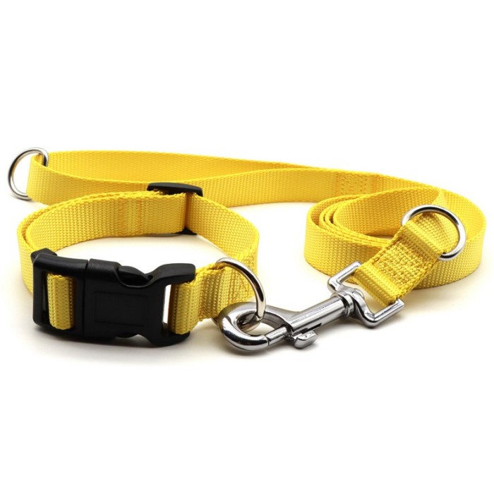 Colorful Dog Collar with Matching Traction Rope Set