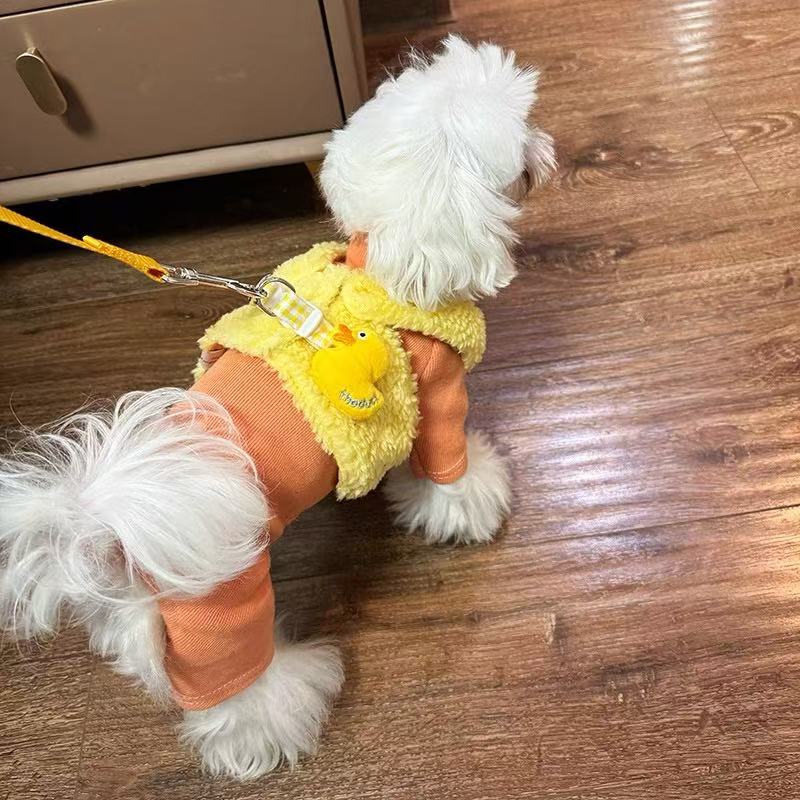 T754 Korean style bear denim summer princess dress Maltese Yorkshire Bichon clothes