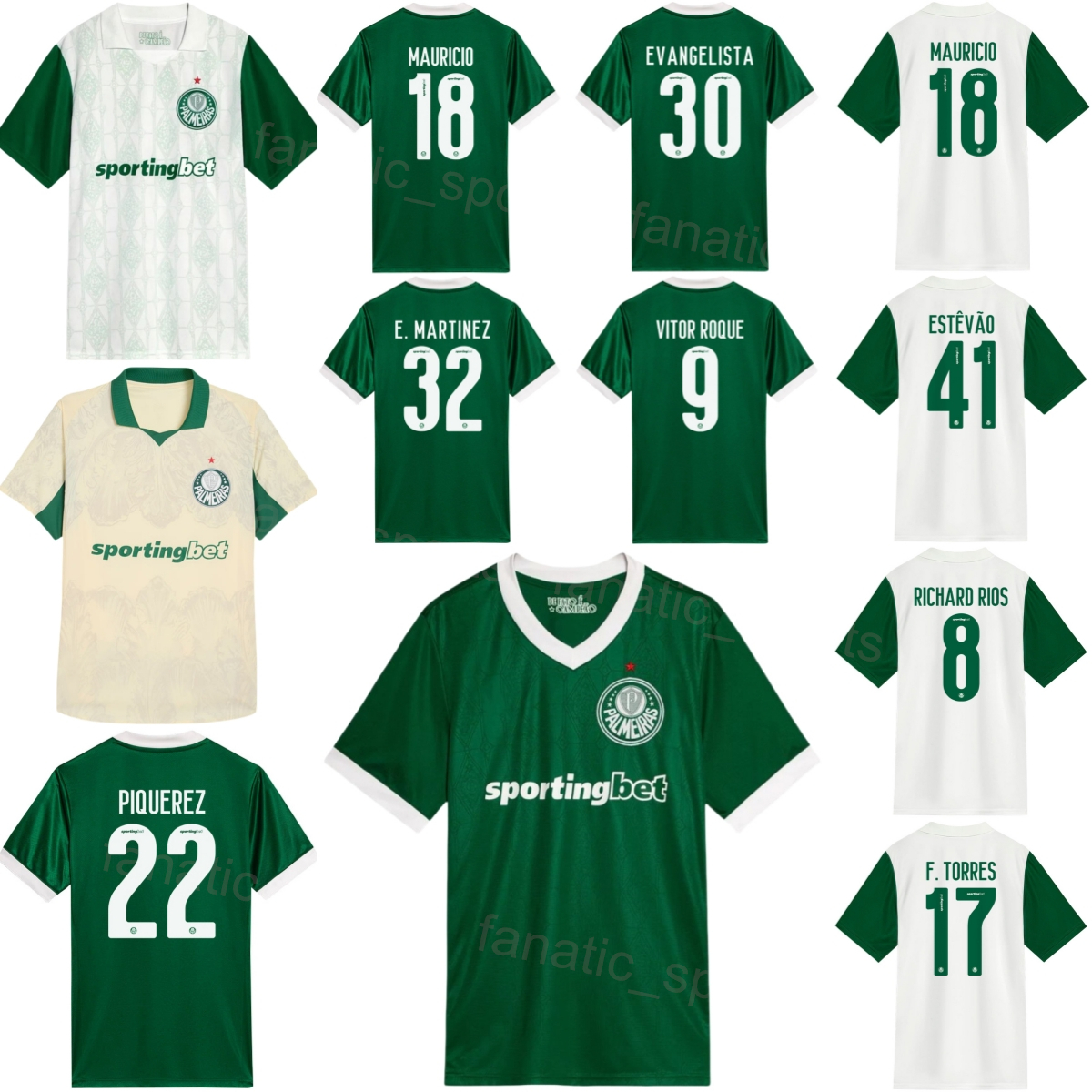 Club Soccer Palmeir… - image