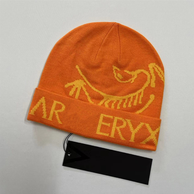 2025 Fashion beanie classic arc beanie designer Winter hat beanies Bonnet Luxe Skull Cap Knitted Fitted Hats for Men Mens Muts Berretto Beenie Hot Sale Winter hat