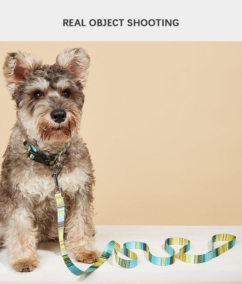 dog collar Durable Printed Leash Accessory: Multi-functional Canine Collar Featuring Easy Attachment Buttons