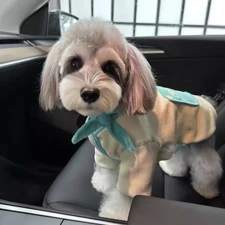 T748 Puppy dog clothes autumn and winter thickened German velvet heating warm hooded coat pet Teddy Bichon Maltese