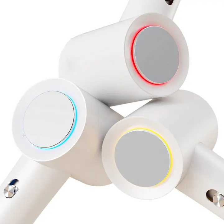 Negative Ion Rapid Hair Dryer NBC-F01 is a beauty appliance hair dryer W250718