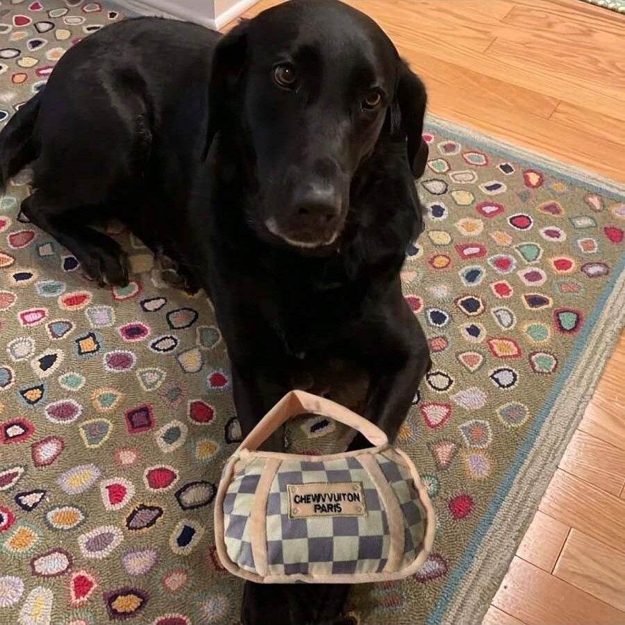 Checker Chewy Vuiton Bone, Plush Designer Dog Toys with Interactive Squeaker, Stimulating Pet Enrichment, Machine-Washable & Safe Materials for All Br