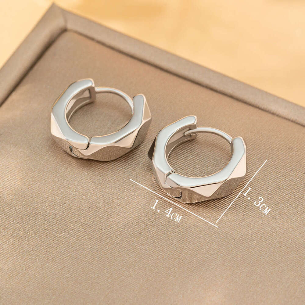 Geometric Smooth Fashion Versatile Circle Luxurious High-End Earrings Jewelry New jewelry