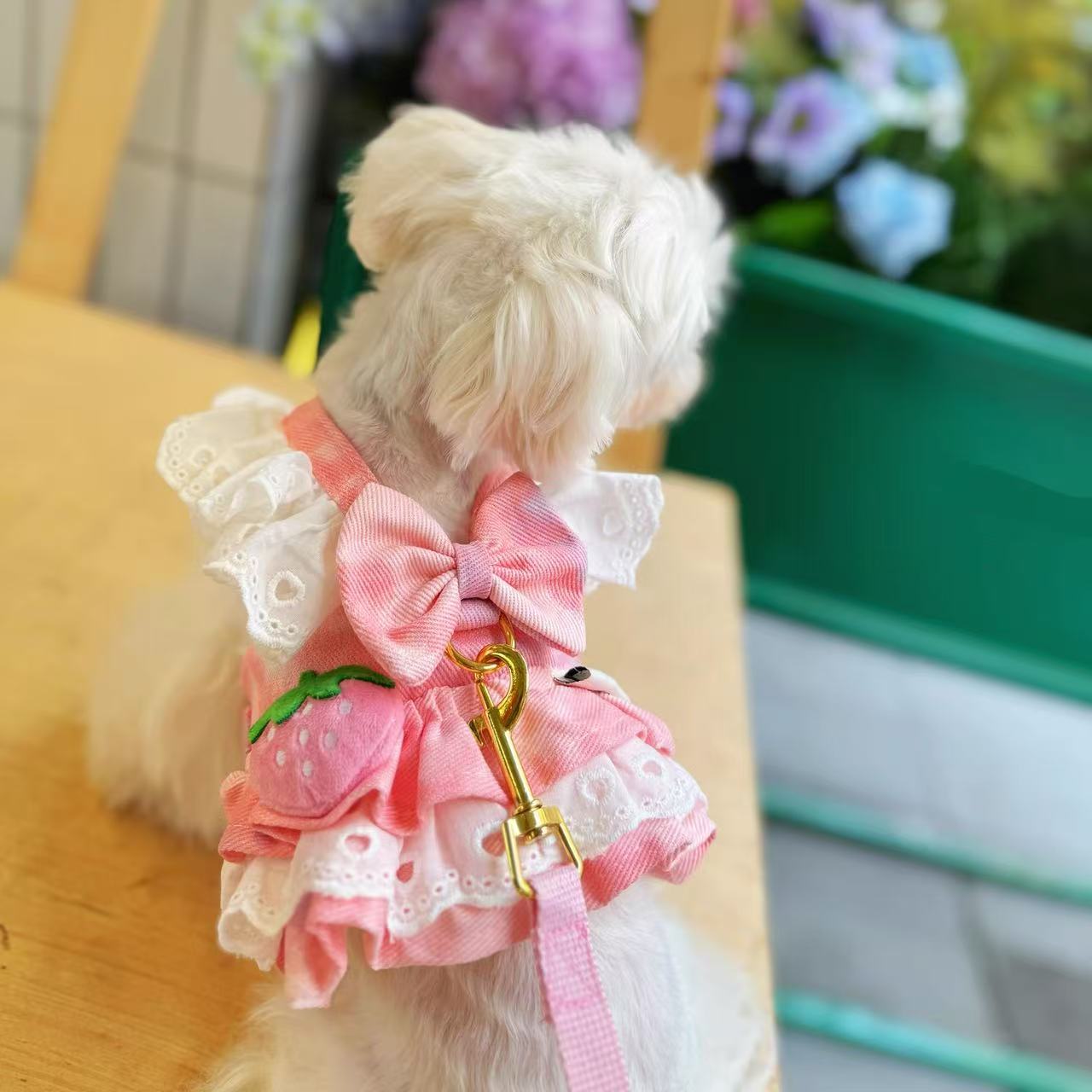 T756 Pet dog cat universal chest harness small dog clothes cowboy duck outdoor leash