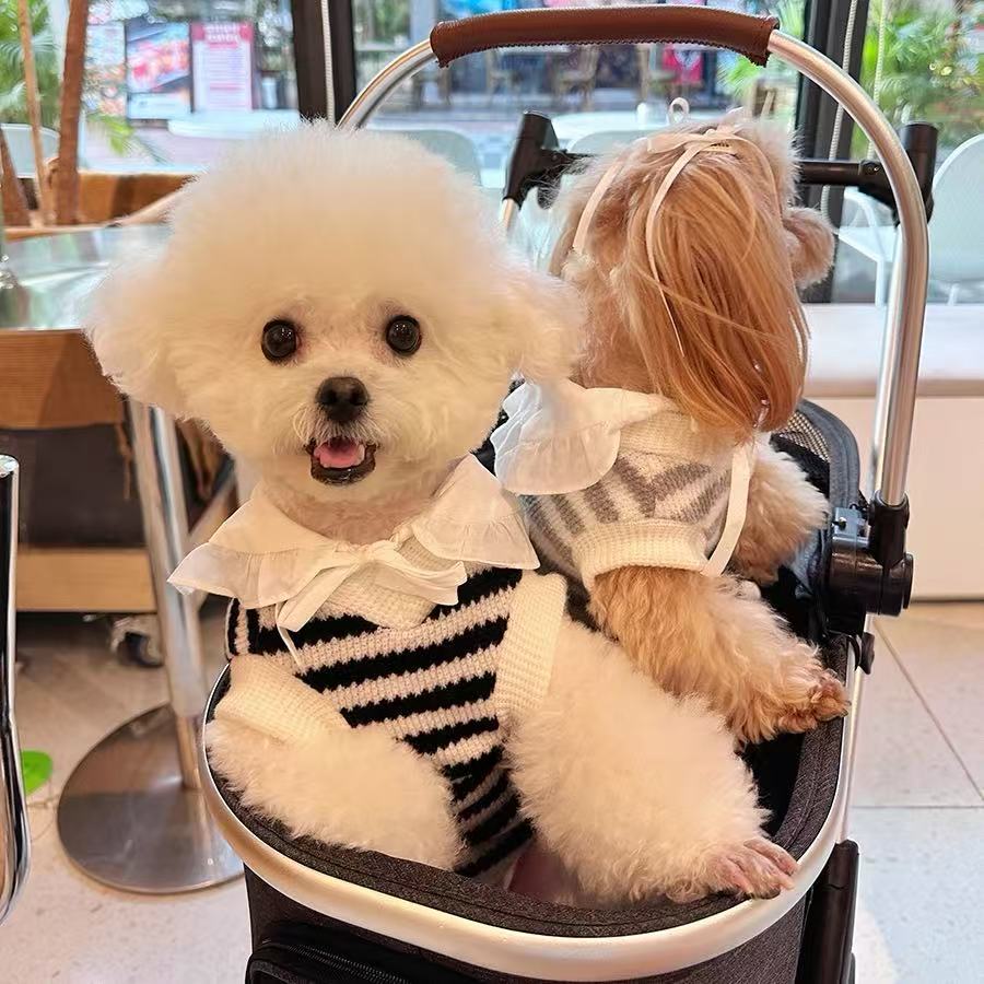 T763 Dress cat clothes small dog Bichon clothes