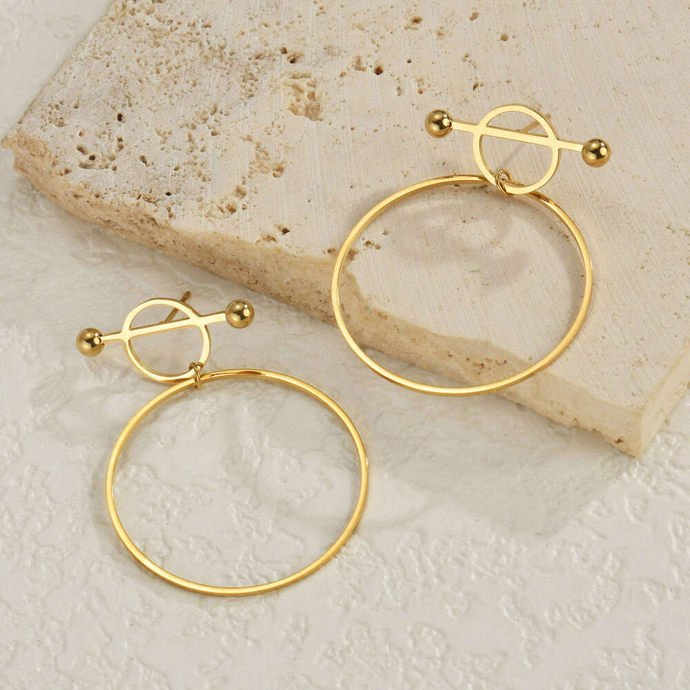 New INS Style Internet Celebrity Geometric Hoop for Women, Niche Personality Stainless Steel Gold-Plated Earrings