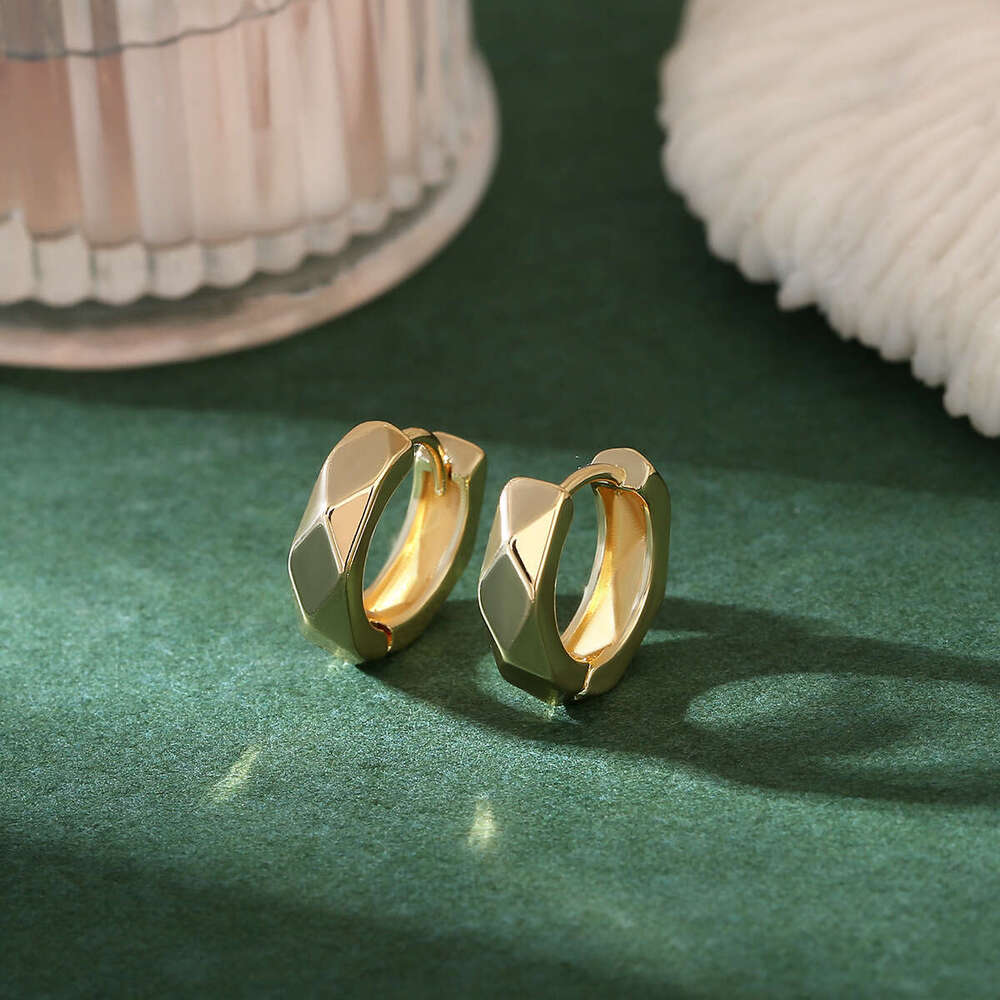 Geometric Smooth Fashion Versatile Circle Luxurious High-End Earrings Jewelry New jewelry