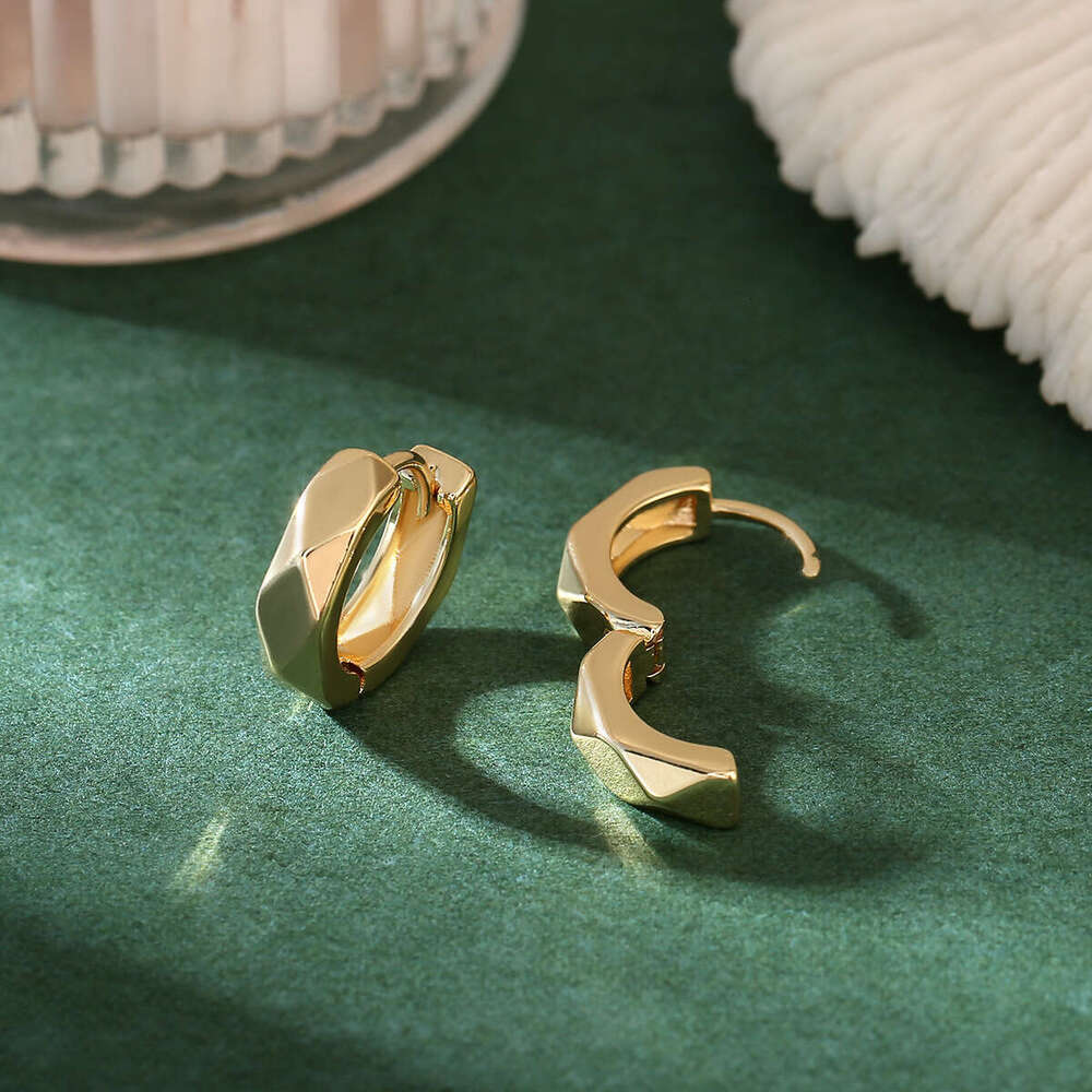 Geometric Smooth Fashion Versatile Circle Luxurious High-End Earrings Jewelry New jewelry