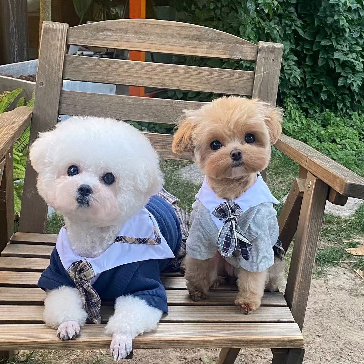 T764 Pet winter warm cotton coat Yorkshire terrier Devon puppy clothes