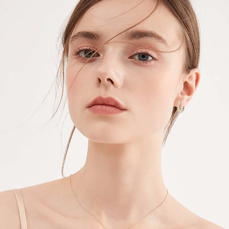 TikTok Same Style Moissanite Hoop for Women Internet Celebrity Design Sense Niche Pure Sier Earrings